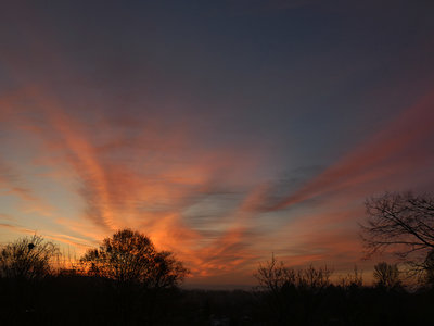 2 Morgenrot Csra 20190322b.jpg