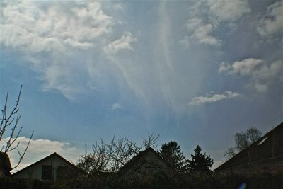 IMG_1315.JPG
