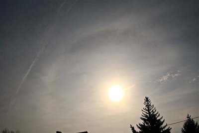 IMG_1798.JPG