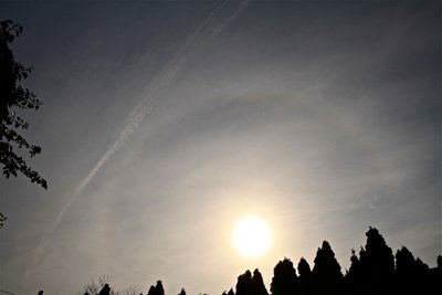 IMG_1795.JPG