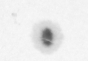 12:46 UT. Bildausschnitt, 100 Prozent Größe und leicht an den Reglern gedreht. 2,25 x Hyperion Barlow + ca. 9,5 cm Verlängerungsringe, f &gt; 1800 mm