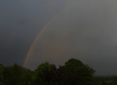 6 Regenbogen 20190426.jpg