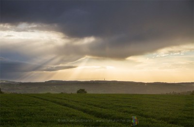 Krepuskularstrahlen (teils gespiegelt durch den Rhein bei Karlsruhe 27.04.2019