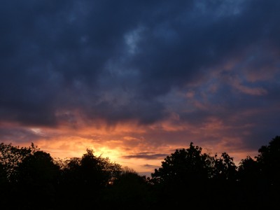 12 Morgenrot Sc 20190505.jpg