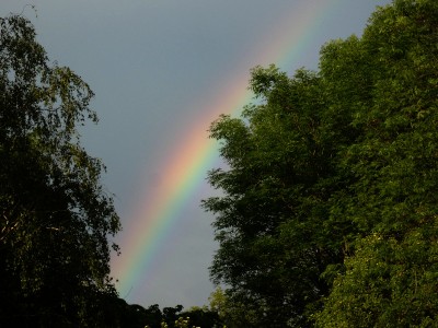 15 Regenbogen Dortmund 20190518.jpg