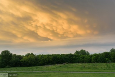 mammatus-berlin-2.jpg