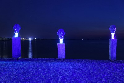 IMG_7547.jpg