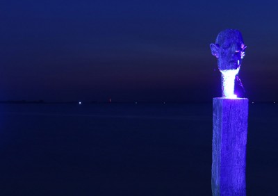 IMG_7547_crop.jpg