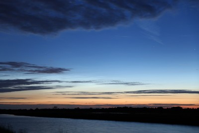 IMG_7786.jpg