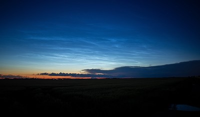 IMG_2504.1.jpg