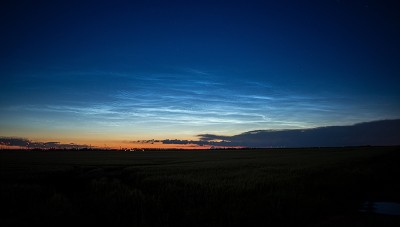 IMG_2515.1.jpg