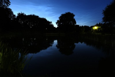 IMG_8186.jpg