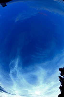 19.50 UTC mit 8mm (NLC anfangs noch weiter südlicher, aber wir hatten noch keine erwartet, daheim schon gar nicht und mußten erst aufbauen)