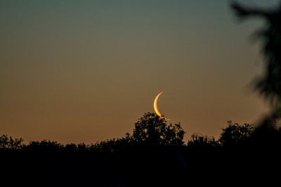 DSC_8623_150.JPG (230.63 KiB) 8164 mal betrachtet 03:37 MESZ