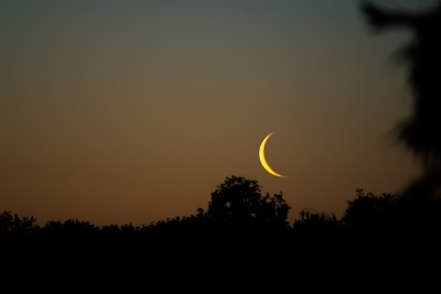 DSC_8626_150.JPG (240.49 KiB) 8164 mal betrachtet 03:38 MESZ