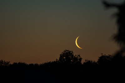 DSC_8627_150.JPG (249.7 KiB) 8342 mal betrachtet 03:39 MESZ