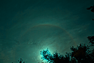 IMG_5391.png
