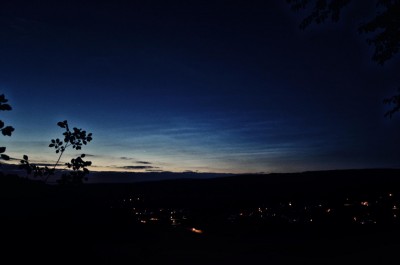 NLC07075.JPG