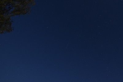 2019081523360500.jpg (335.35 KiB) 5662 mal betrachtet 1:31 MESZ