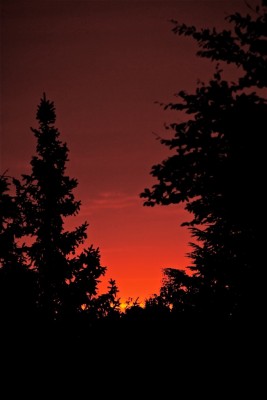 IMG_8727.jpg