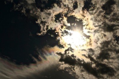 IMG_8815.JPG