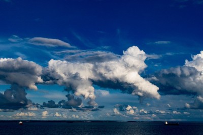 APC_0748.JPG (328.44 KiB) 2680 mal betrachtet Himmels-Hund