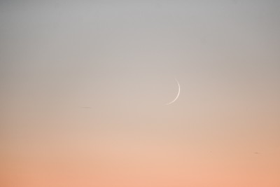 DSC_9180_150.JPG (198.52 KiB) 7720 mal betrachtet 17:32 MEZ