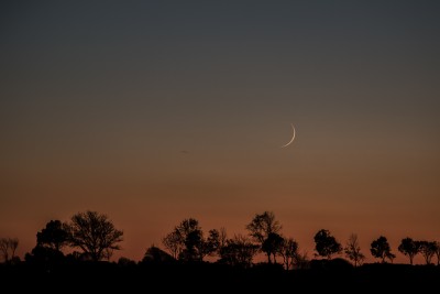 DSC_9186_150.JPG (230.17 KiB) 7708 mal betrachtet 17:34 MEZ