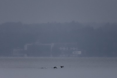 Herreninsel im Chiemsee von Übersee aus gesehen<br />01.11.2019 15:10 Uhr