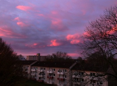 169 Morgenrot 20191123 SW.jpg