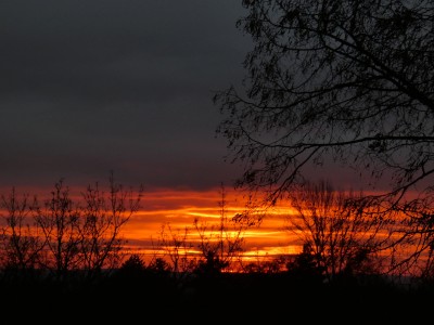 184 Morgenrot 20191206.jpg