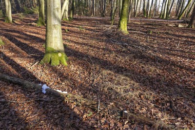 Haareis im Würmtal n. Starnberg 29.12.2019