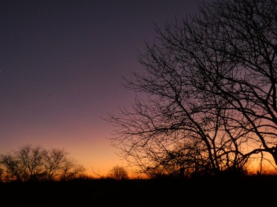 210 Purpurlicht 20191230b.jpg