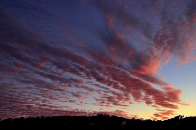 _MG_6583_HDR2.jpg