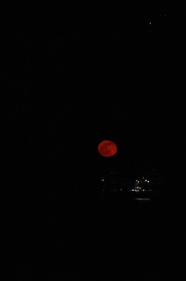 IMG_6696klein.jpg