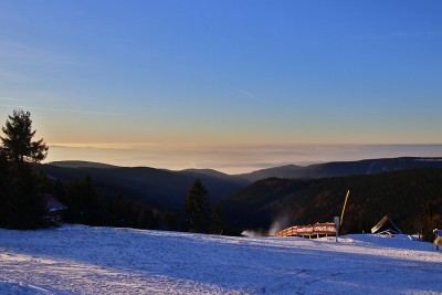 _MG_7270b.jpg