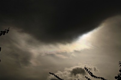 IMG_0414.JPG (143.34 KiB) 1032 mal betrachtet IMG_0414.JPG