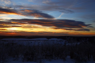 _MG_9691.jpg