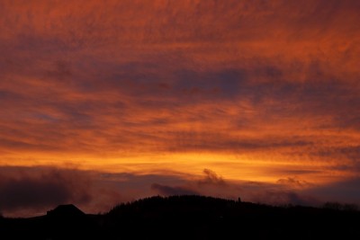 _MG_9794.jpg