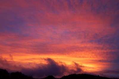 _MG_9822.jpg
