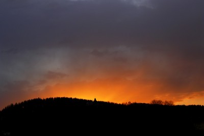 _MG_9930.jpg