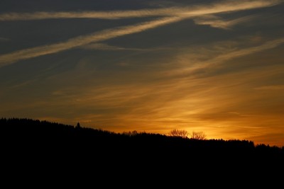 _MG_0468.jpg