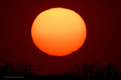 25.03.2020 18:27 Uhr MEZ 720mm an Crop + Ausschnitt