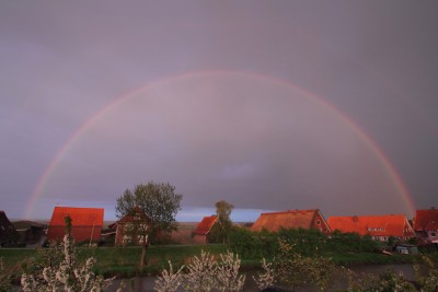 IMG_7139-1-1 Kopie1.jpg (352.75 KiB) 3133 mal betrachtet IMG_7139-1-1 Kopie1.jpg