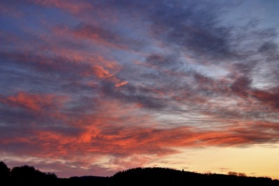 _MG_1135b.jpg