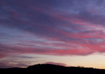 _MG_1159.jpg