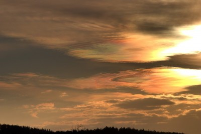 _MG_1545_HDR.jpg