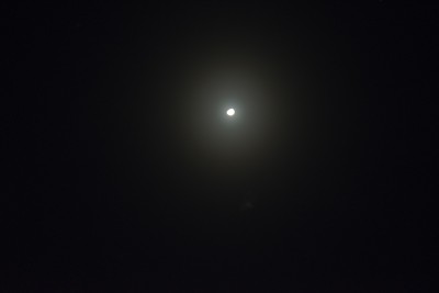 DSC_9934_100.jpg