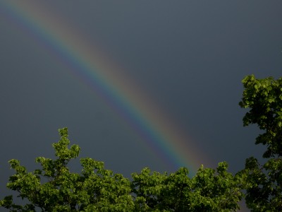 25 Regenbogen 20200502Zoom.jpg