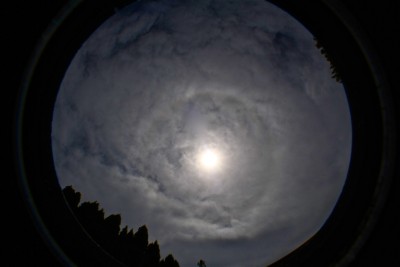 IMG_2137.JPG
